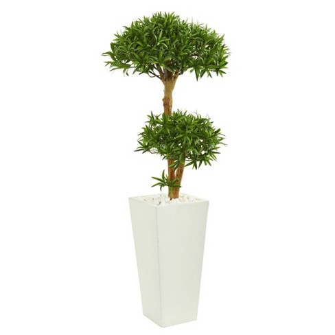 Nearly Natural 50-in Bonsai Styled Podocarpus Artificial Tree In Tower  Planter : Target