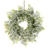 Whisen D24" Foliage/Cedar Christmas Wreath - 2 of 4