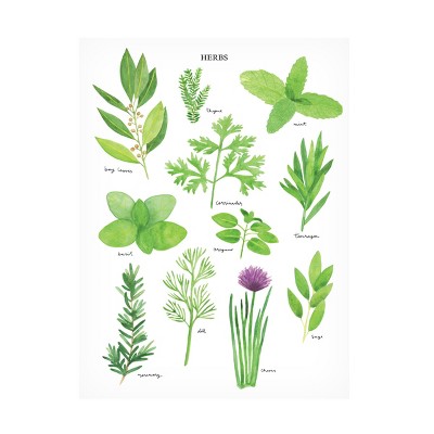 Sarah Frances Herbs Canvas Art : Target