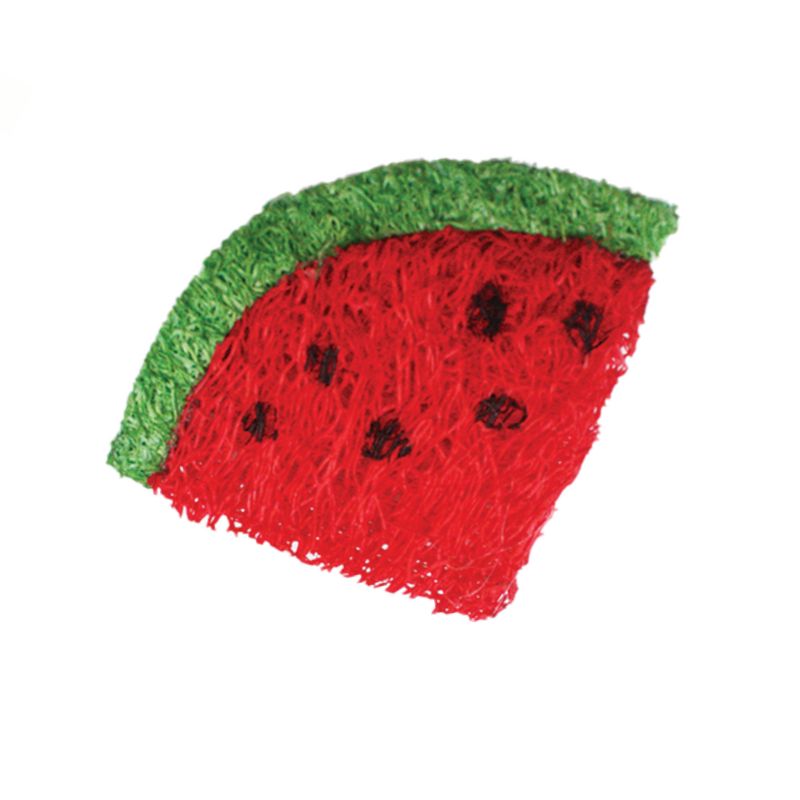 AE Cage Company Nibbles Strawberry and Watermelon Loofah Chew Toys - 2 count, 3 of 5