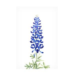 blursbyai 'Watercolor Texas Bluebonnet' Canvas Art - 1 of 4