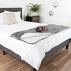 Pet Adobe Waterproof Blanket and Furniture Protector - 4 of 4