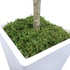 Artificial Eucalyptus Tree, Faux Eucalyptus Tree with Tall White Planter - 4 of 4