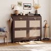 Farmhouse Rattan Shoe Cabinet with Flip Drawers and Tambour Sliding Storage - 4 of 4