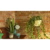 Ultimate Innovations 2pk 11" Steel Self Watering Hanging Baskets White - 4 of 4