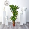 Nearly Natural Corn Stalk Dracaena Silk Plant (Real Touch) - 3 of 4