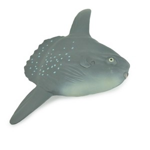 Mola Mola, Ocean Sunfish, Saltwater Fish, Museum Quality, Hand Painted, Realistic, Model, Toy, Kids, Gift,  4 1/2 Inches.  CH1008 BB220 - 1 of 4