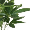 NicBex Artificial Tree 6FT Artificial Pachira Aquatica Pachira Macrocarpa Indoor with Natural Wood Trunk for Home, Foyer - 3 of 4