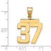 Black Bow Jewelry 14k Yellow Gold, Athletic Collection Medium Polished Number 37 Pendant - 2 of 3