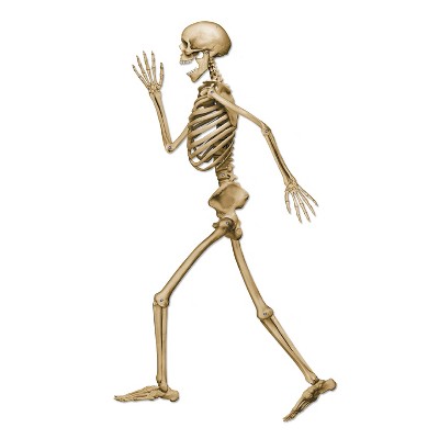 Beistle Profile Pete Jointed Skeleton, 3' 1", (5/Pkg) Multicolored