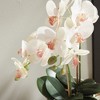 Plum & Post Phalaenopsis Orchid Artificial Plant Drop-In - 4 of 4
