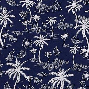 midnight palm paradise