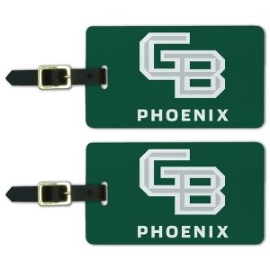 University of Wisconsin  Green Bay Phoenix Logo Luggage ID Tags Suitcase CarryOn Cards  Set of 2 - 1 of 4