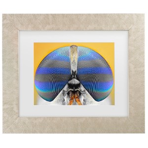 Trademark Fine Art - Donald Jusa Fly On Yellow Matted Framed Art - 1 of 4