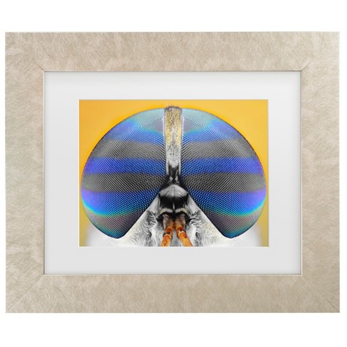 Trademark Fine Art - Donald Jusa Fly On Yellow Matted Framed Art - image 1 of 4