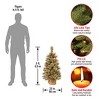 3' Prelit Glittery Bristle Pine Artificial Christmas Tree with Cones Warm White Lights - National Tree Company - 4 of 4