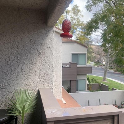 Guest review image 1 of 3, zoom in