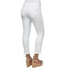 Women's CURVY Ankle Skimmer Jeans - Democracy - 2 of 3