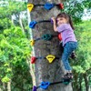 VEVOR Ninja Tree Climbing Kit,20 Tree Climbing Holds and 6 Ratchet Straps,Large Climbing Rocks for Kids and Adults Climber,Various Colors and Shapes - 2 of 4