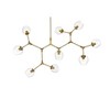 Elegant Lighting Cavoli 9 - Light Chandelier in  Brass - 2 of 4