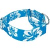 Country Brook Petz 1 1/2 Inch Martingale Dog Collar - Summer Breeze Collection - 3 of 4