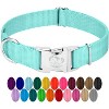 Country Brook Petz Premium Nylon Dog Collar with Metal Buckle for Small Medium Large Breeds - Vibrant 30+ Color Selection - 2 of 4