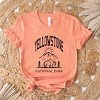 Simply Sage Market Yellowstone National Park Mountain Short Sleeve Tee - 3 of 4
