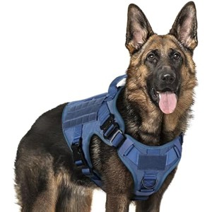 rabbitgoo Tactical Dog Harness for Large, Heavy Duty Pet Harness with Handle, , Adjustable Military Dog Vest for Training Hunting Walking, Blue, L - 1 of 1