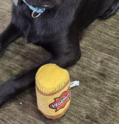 Vegemite dog treats sales