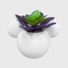 Disney 2pc Indoor/Outdoor Ceramic Mickey and Minnie Mouse Icon Succulent Set Pink/White: Durable Novelty Planters, No Assembly Required - 2 of 4