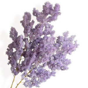 Alilang Decorative Dried Fine Leaf Stems for Home Decoration and Floral Arrangements, 17.7 Inches - 1 of 3