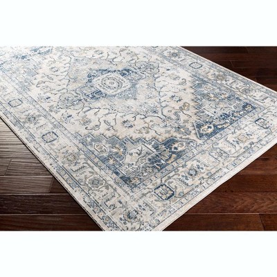 Tricht Traditional Gray and Blue Wool Area Rug 7'10" x 10'