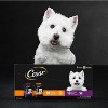 Cesar Rotiserrie Chicken, Steak and Gravy Flavor Variety Pack Pouch Small Breed Wet Dog Food - 35.2oz/20ct - 2 of 4