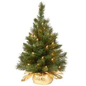 National Tree Company 24" Majestic Fir Tree with Clear Lights - 1 of 4