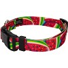 Country Brook Petz® Deluxe Summer Melon Dog Collar - Made in The U.S.A. - image 2 of 4