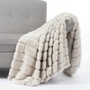 Cozy Bliss Plush Faux Fur Blanket, Ultra Soft Throw Blanket - 2 of 4