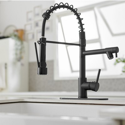 Matte Black High-Arc Kitchen Faucet with Pull-Out Spray