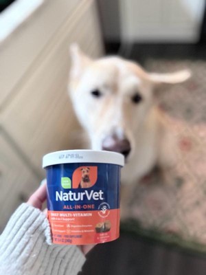 Guest review image 1 of 2, zoom in