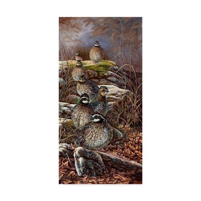Carolyn Mock 'Quail Trail' Canvas Art