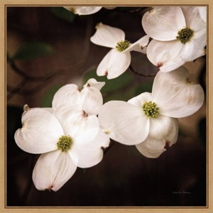 16" x 16" Dogwood Flowers III by Debra Van Swearingen Framed Wall Canvas White - Amanti Art: Modern Botanical Decor, Horizontal Layout - 1 of 4