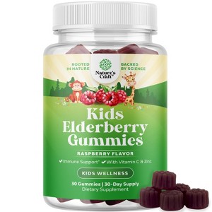 Kids Elderberry Gummies with Zinc & Vitamin C, Daily Immune Support Gummies for Children, Raspberry Flavor, Nature's Craft - 1 of 4