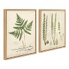 18" x 24" (Set of 2) Sylvie Ferns by Corinna Buchholz of Piddix Framed Wall Canvas Set Natural - Kate & Laurel All Things Decor - 2 of 4