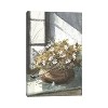 iCanvas Daisies in The Window by George Bjorkland Canvas Print Wall Art - 2 of 3