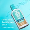 hello Peace Out Plaque Alcohol-Free and Vegan Mouthwash- 16oz - 3 of 4