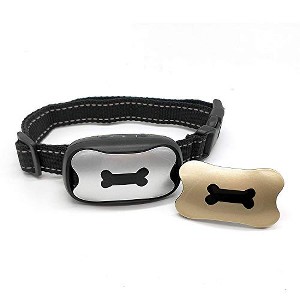 Multipet Two-Wheel Dog Toy with Side Rope Knot - 1 of 1