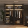 FUFU&GAGA Modern Luxury Style Wardrobe,Glass-Door Armoire,Freestanding Closet with Adjustable Lighting,Multi-Zone Storage for Bedroom ,Black - 3 of 4