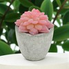 Unique Bargains Artificial Plants Flocked Mini Echeveria in Pulp Plastic Red 2.36"x2.36"x3.35" 1 Pcs - 2 of 4