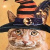 C&F Home 18" x 18" Witch Cat Light-Up LED Halloween Throw Pillow by Two Can Art - 3 of 4