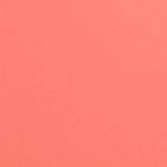 Hot Pink Summer