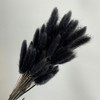 Alilang Dried Bunny Tail Grass Stems for Modern Home Decoration and Floral Arrangements, 23.5 Inches - 2 of 3